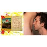 Livre Arthur H - Onirique Attaque